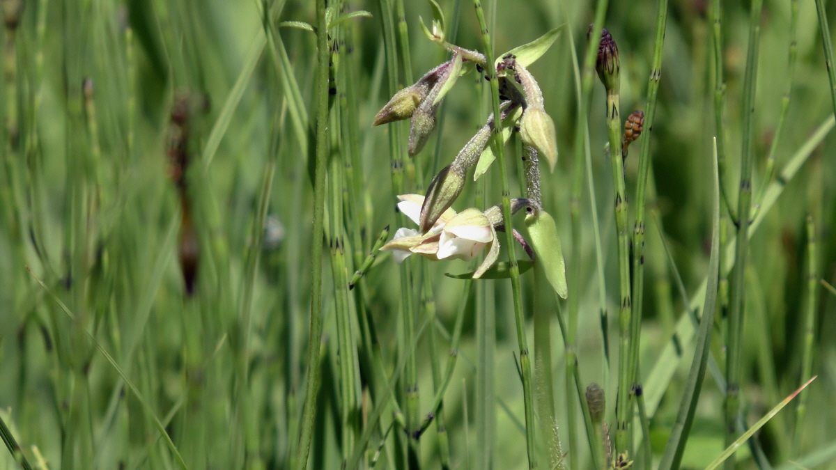 06-26-2017_141942p_Bildgr��e �ndern