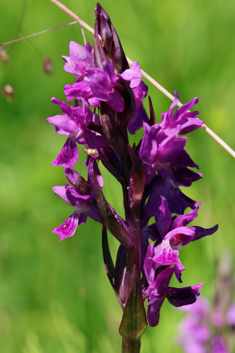 2017_06_26_035323p_Bildgr��e �ndern