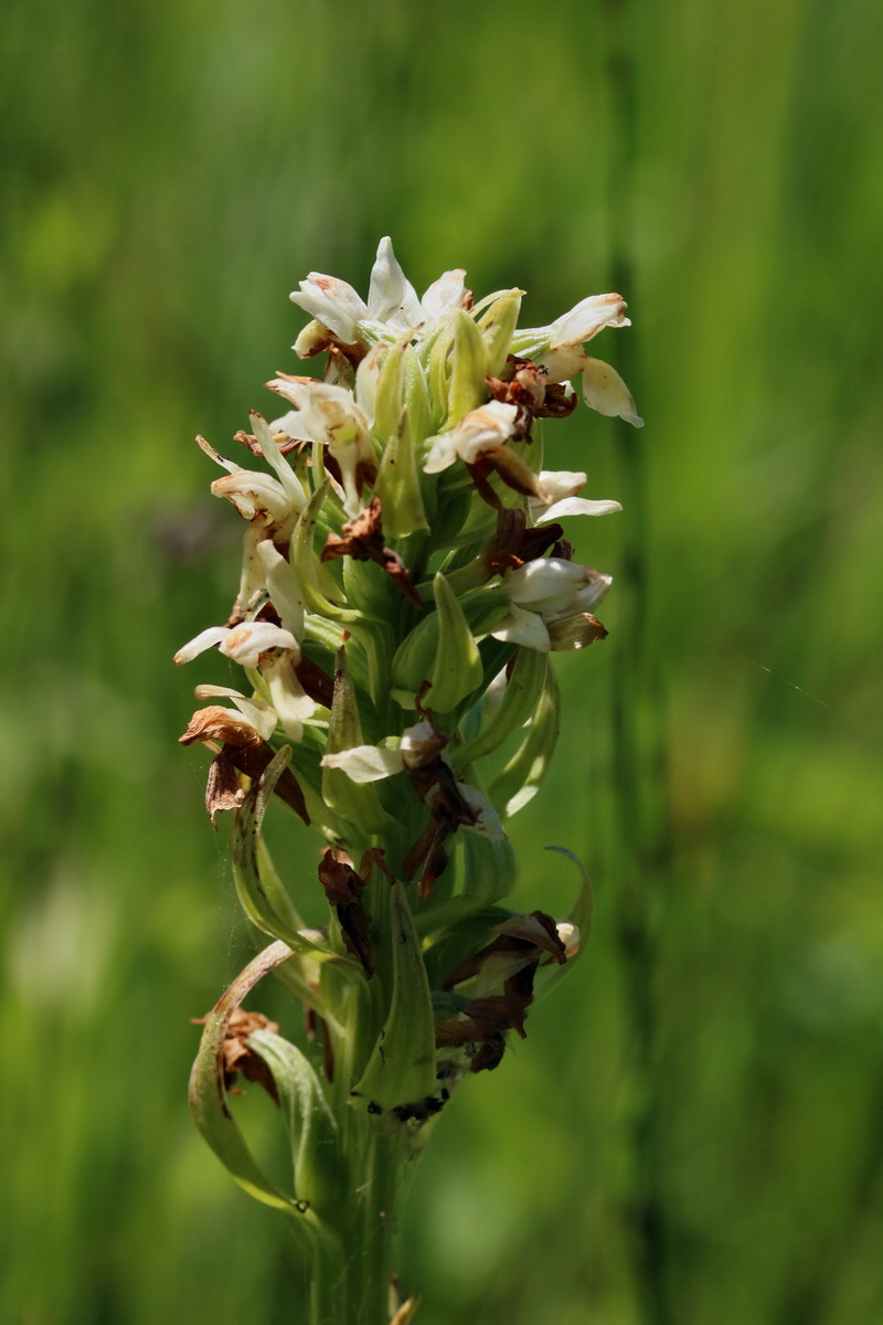 2017_06_26_035348p_Bildgr��e �ndern