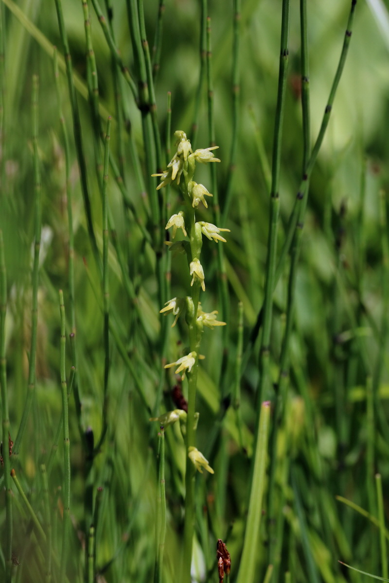 2017_06_26_035379p_Bildgr��e �ndern