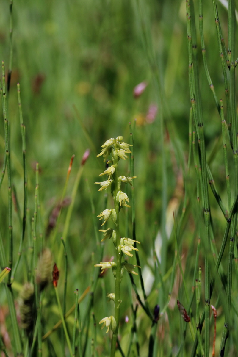 2017_06_26_035387p_Bildgr��e �ndern