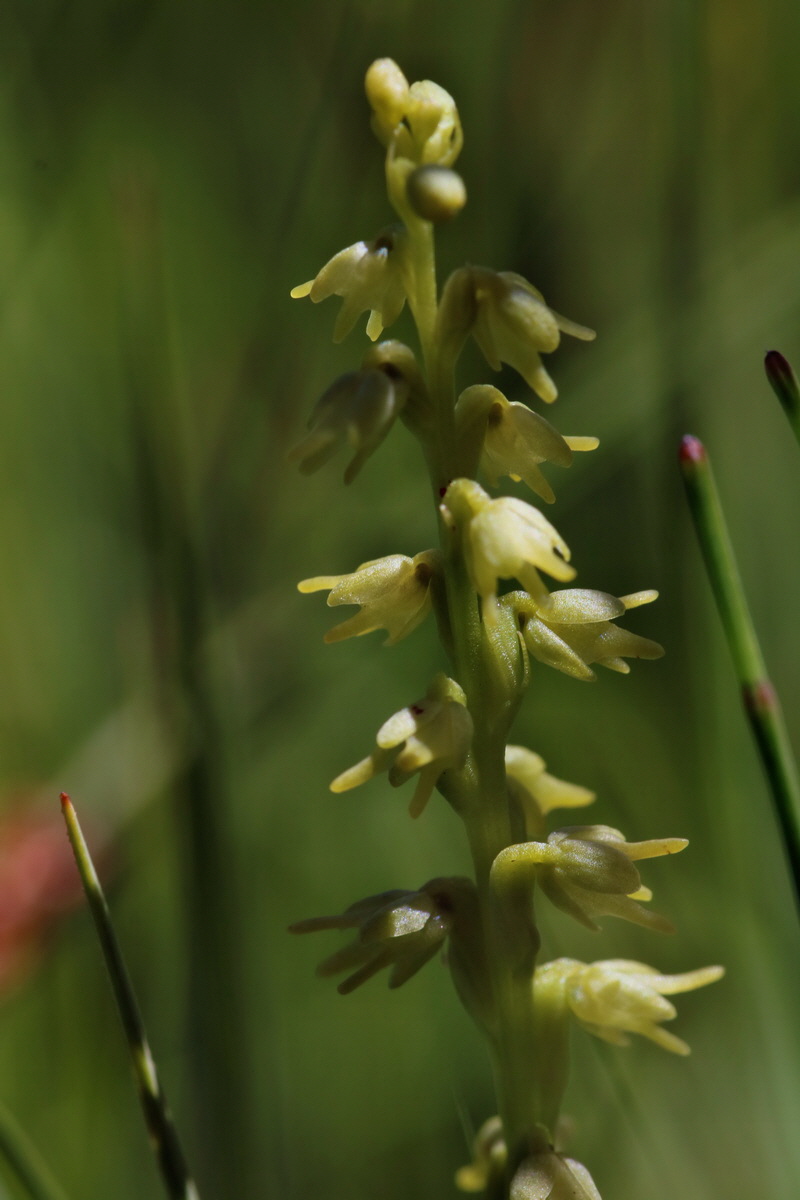 2017_06_26_035390p_Bildgr��e �ndern