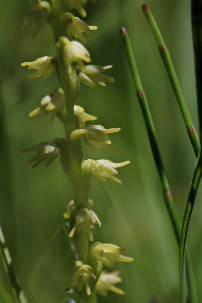 2017_06_26_035395p_Bildgr��e �ndern