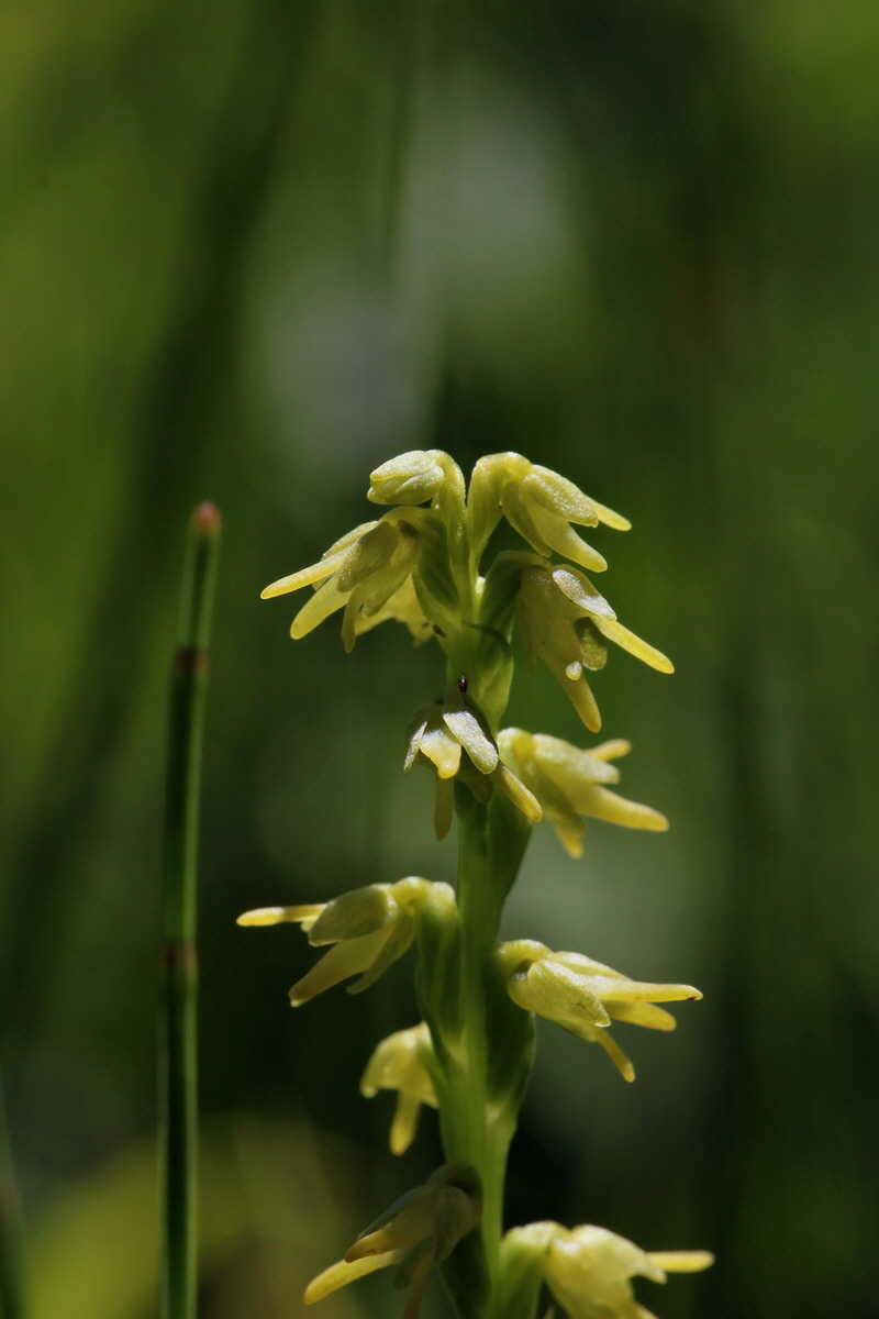 2017_06_26_035404p_Bildgr��e �ndern