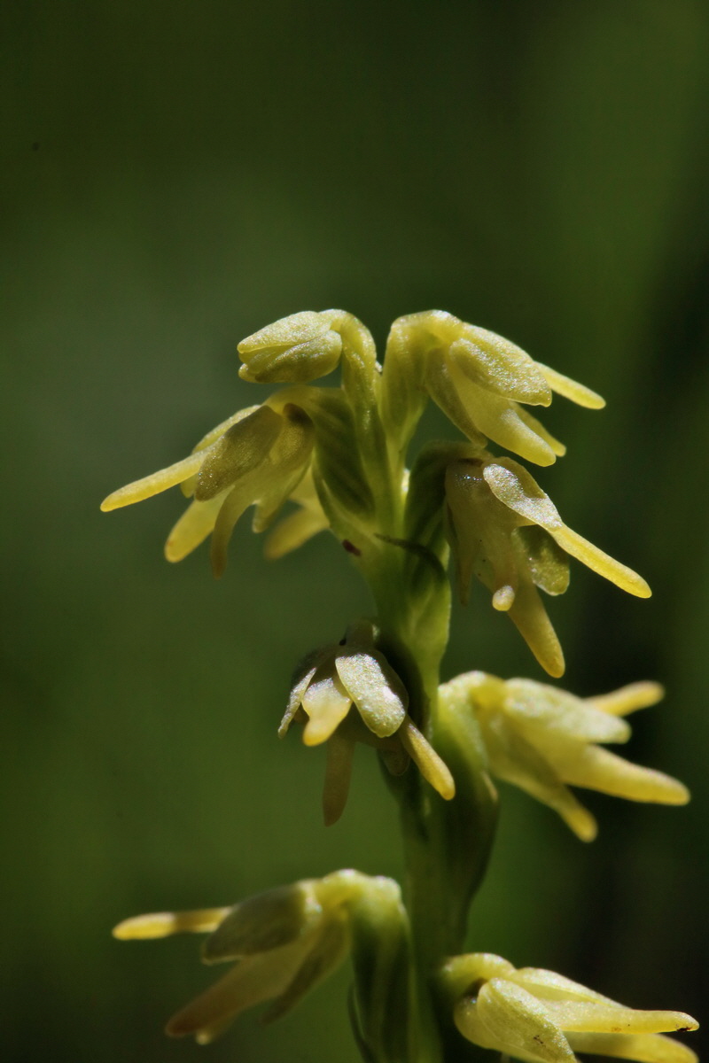 2017_06_26_035414p_Bildgr��e �ndern