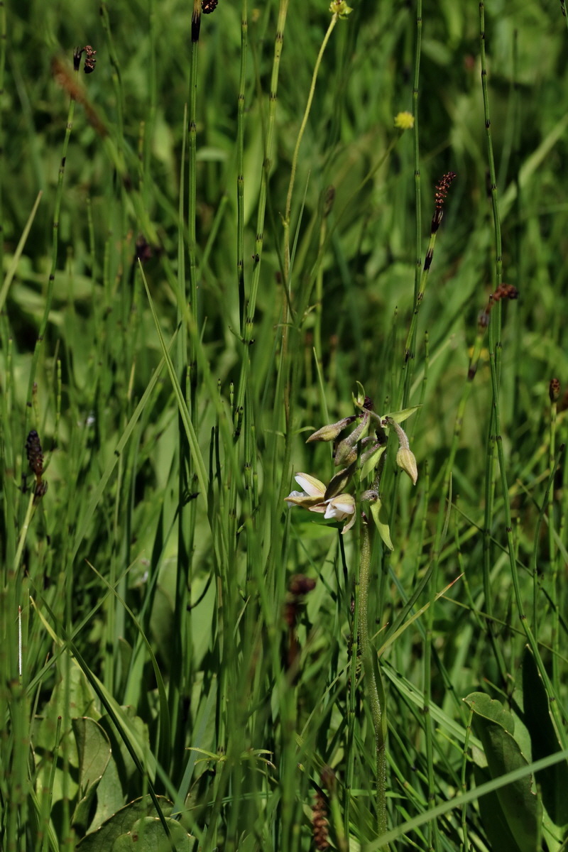 2017_06_26_035421p_Bildgr��e �ndern