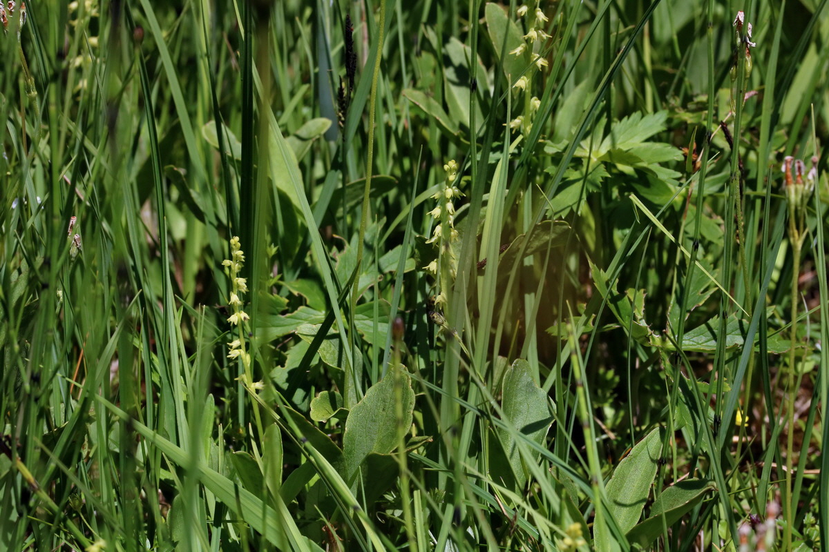 2017_06_26_035428p_Bildgr��e �ndern