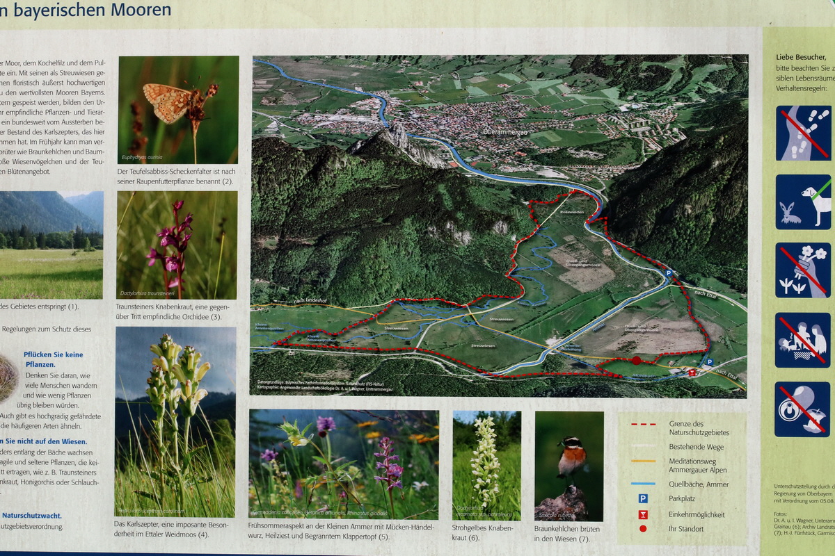 2017_06_26_035448p_Bildgr��e �ndern