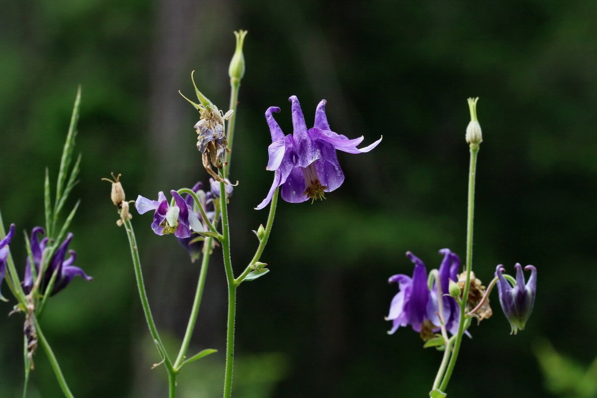 2017_06_27_035449p_Bildgr��e �ndern