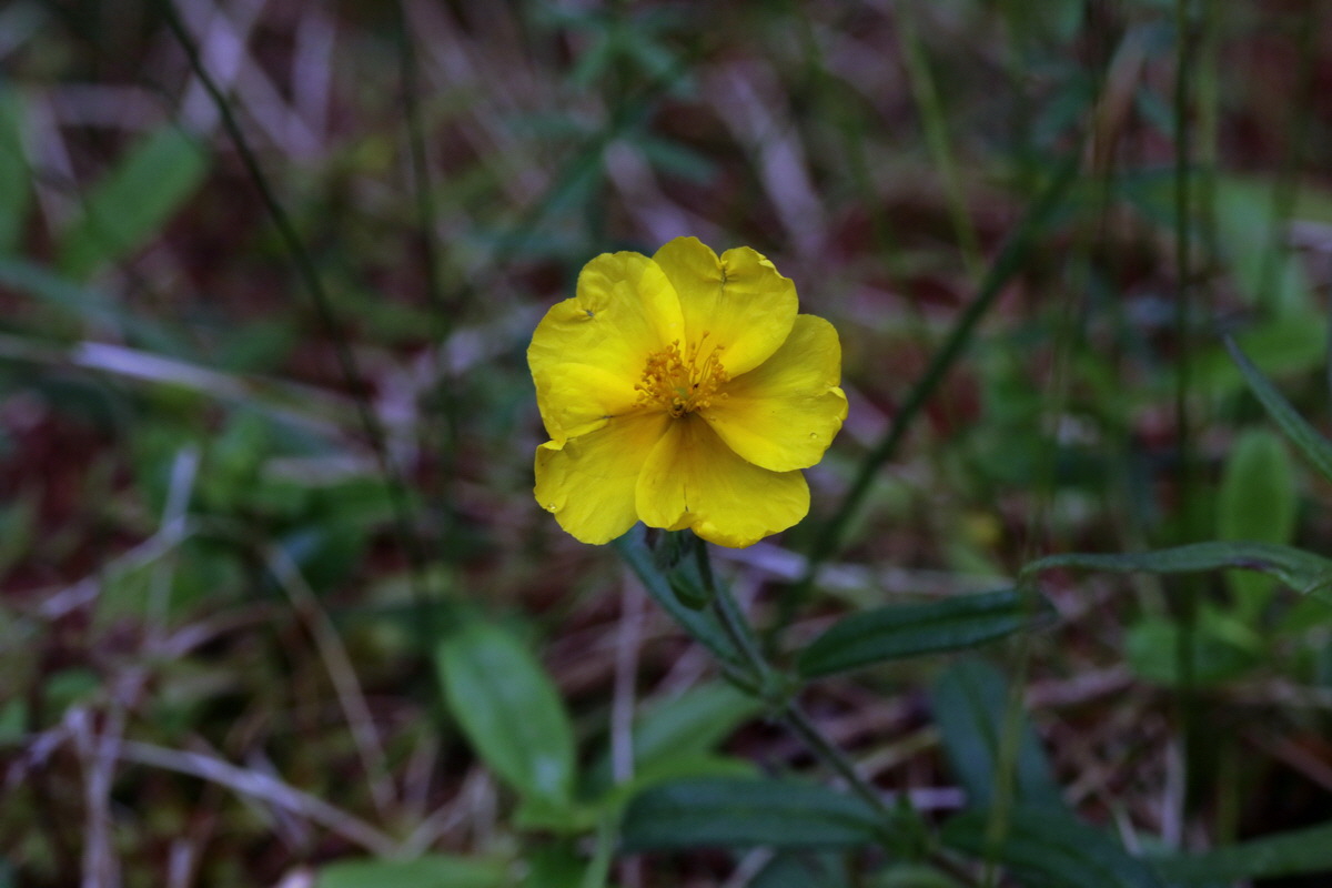 2017_06_27_035461p_Bildgr��e �ndern