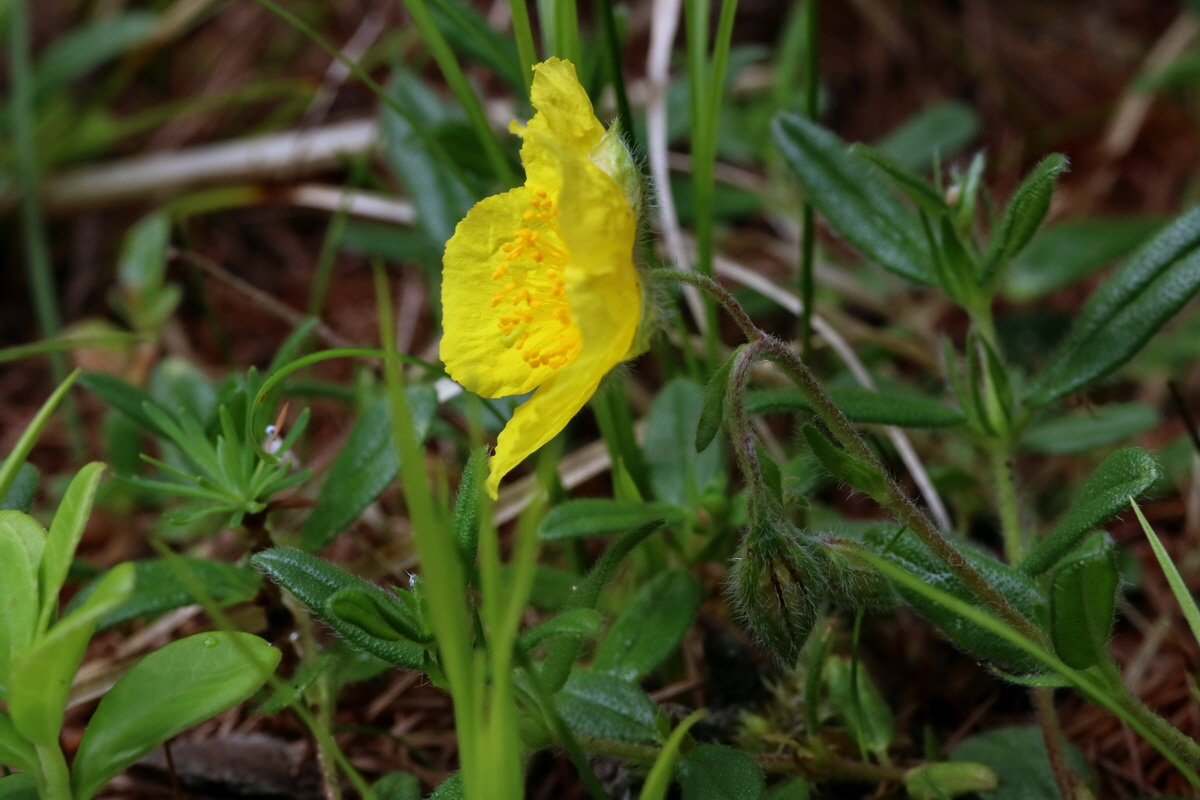 2017_06_27_035464p_Bildgr��e �ndern