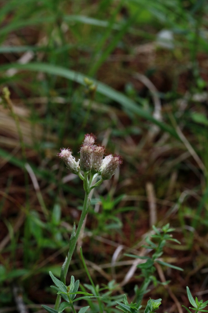 2017_06_27_035471p_Bildgr��e �ndern