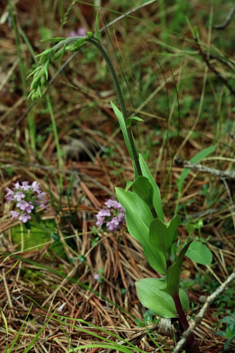 2017_06_27_035477p_Bildgr��e �ndern