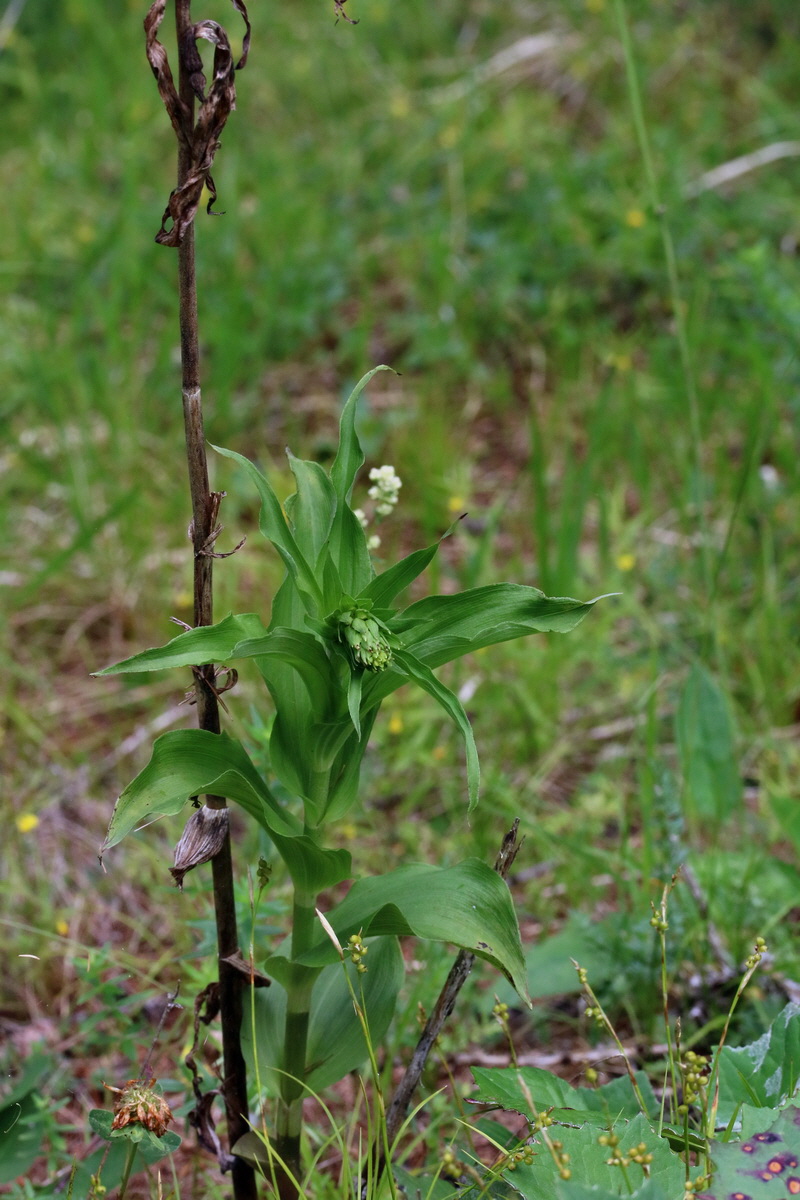 2017_06_27_035481p_Bildgr��e �ndern