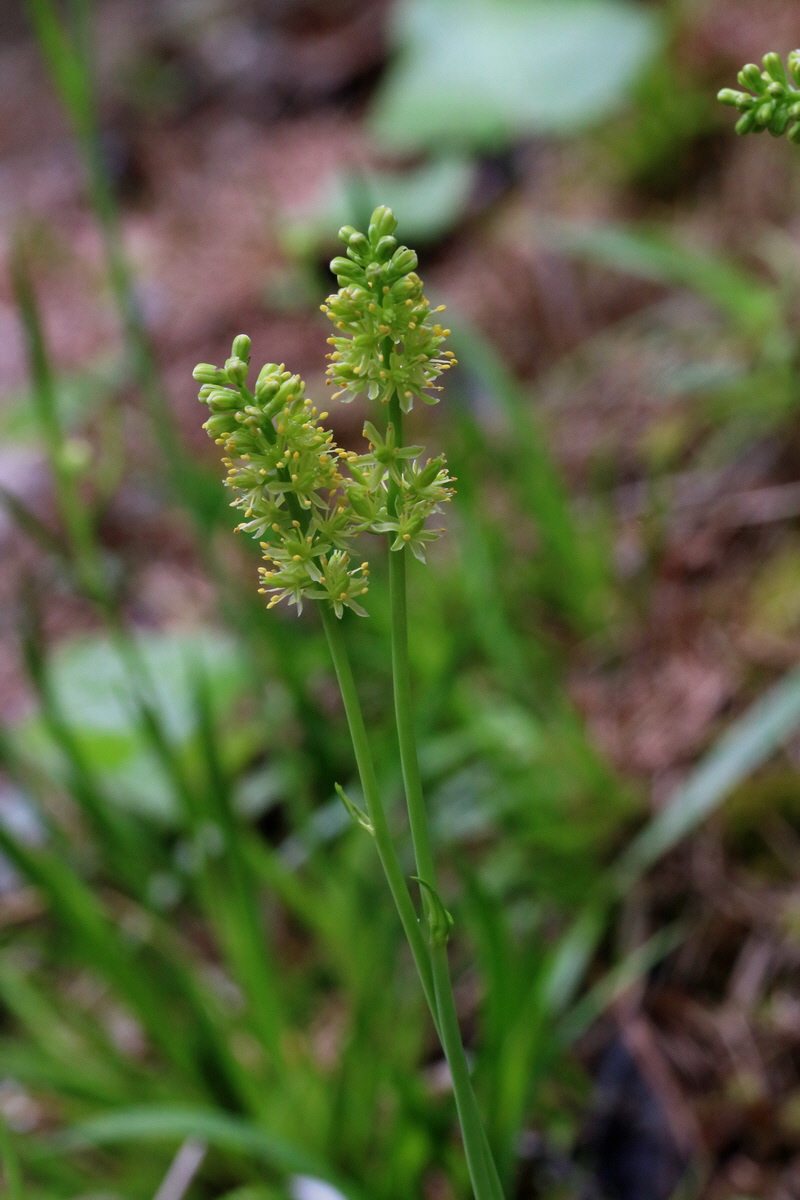 2017_06_27_035486p_Bildgr��e �ndern