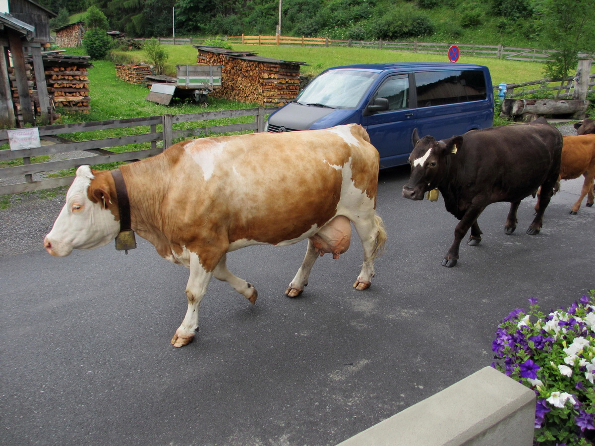 IMG_0032p_Bildgr��e �ndern