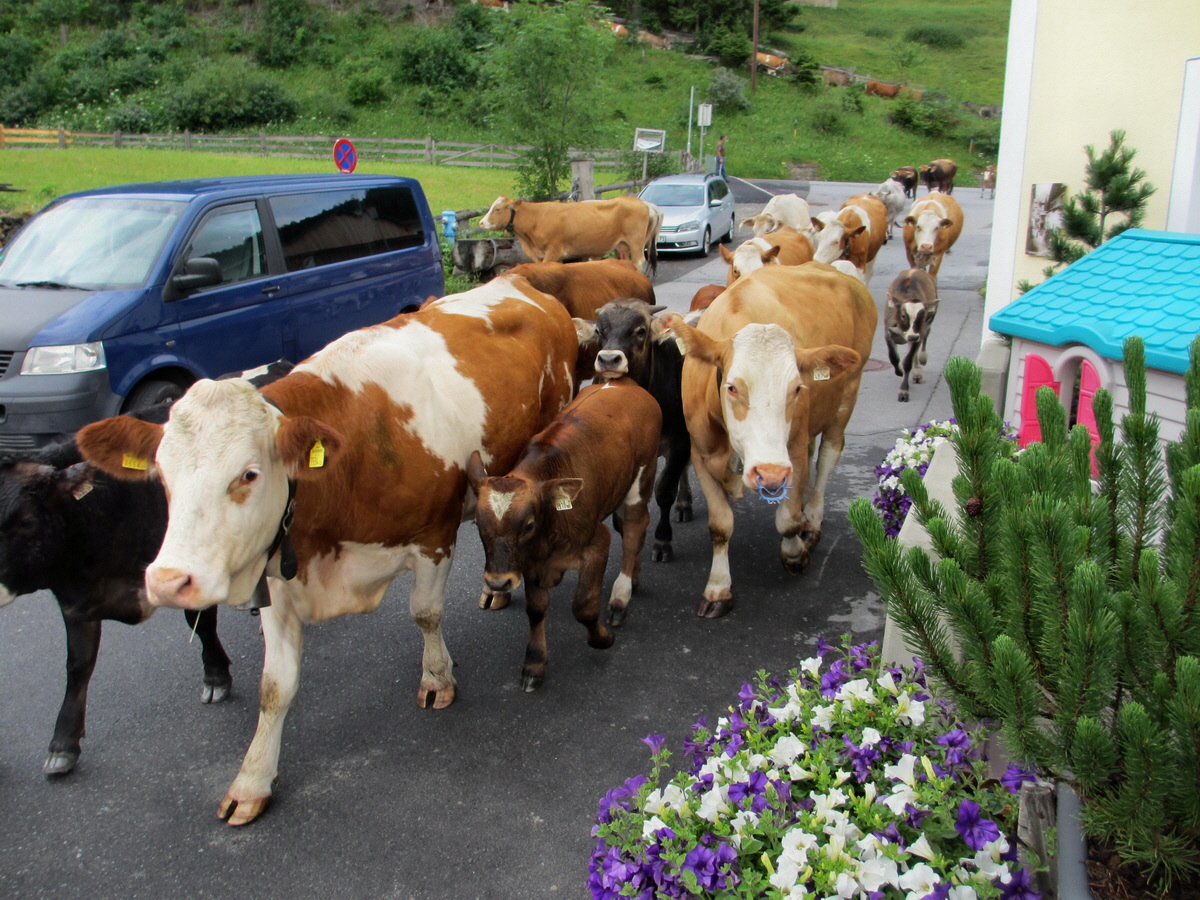 IMG_0034p_Bildgr��e �ndern