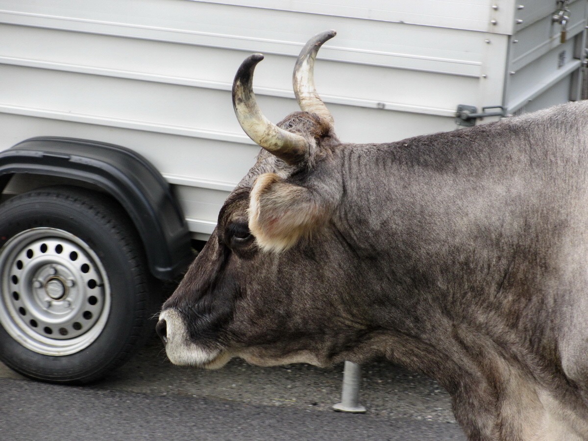 IMG_0045p_Bildgr��e �ndern