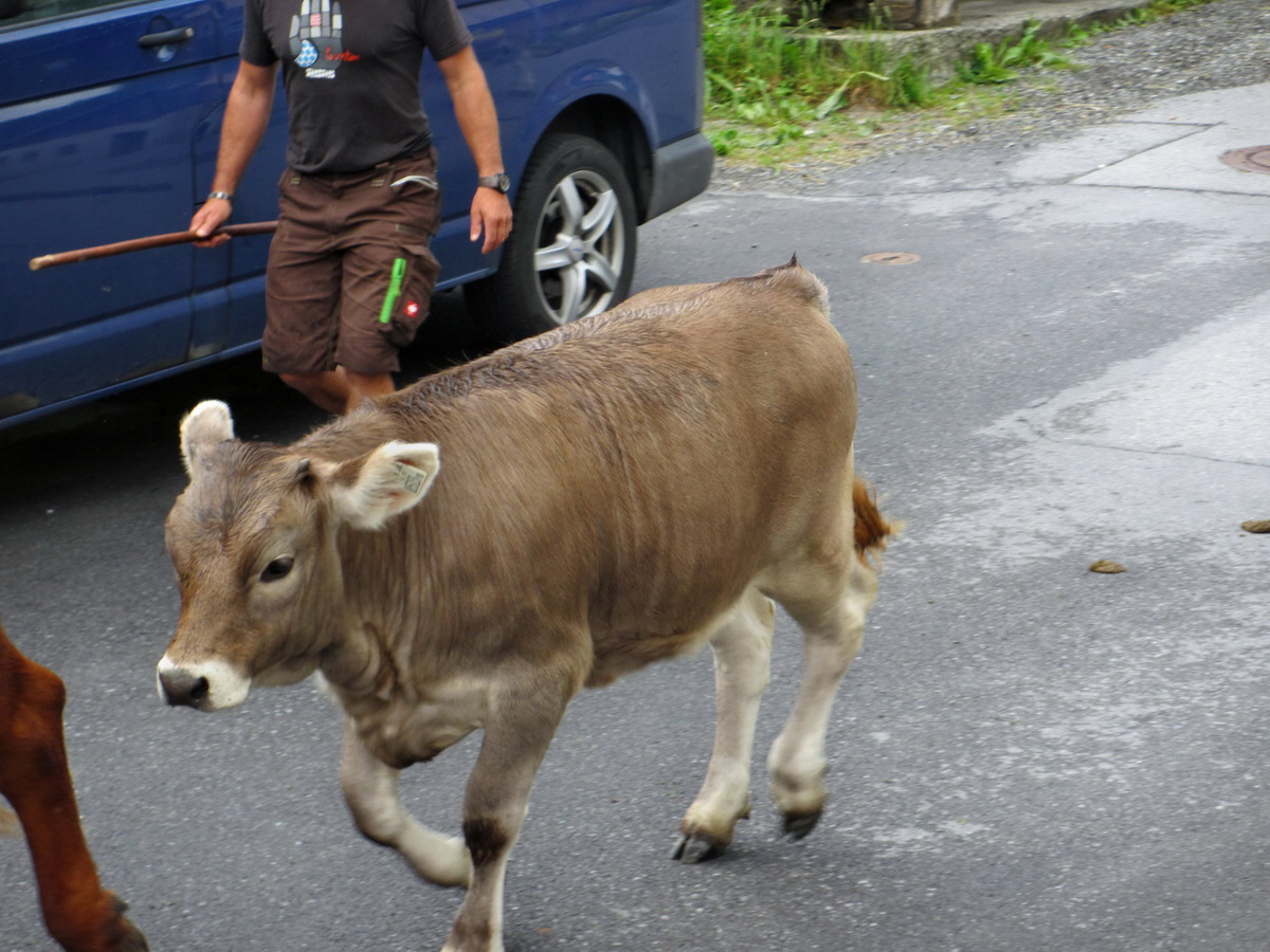 IMG_0047p_Bildgr��e �ndern