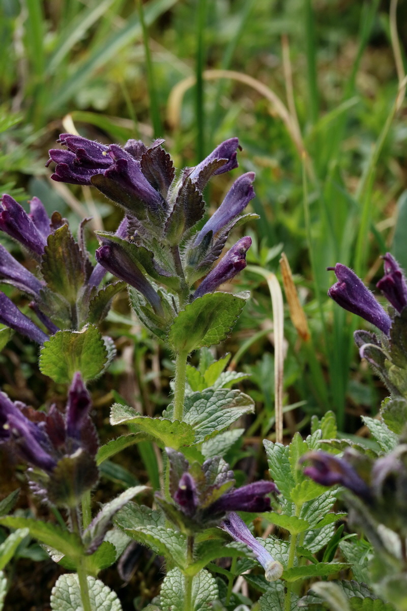 2017_06_27_035500p_Bildgr��e �ndern