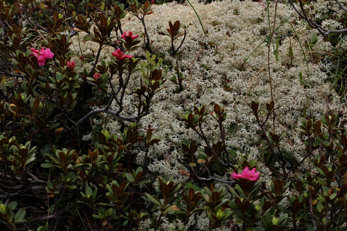 2017_06_27_035512p_Bildgr��e �ndern