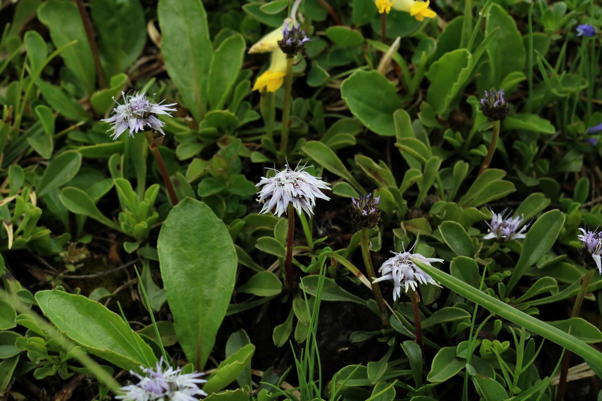 2017_06_27_035521p_Bildgr��e �ndern