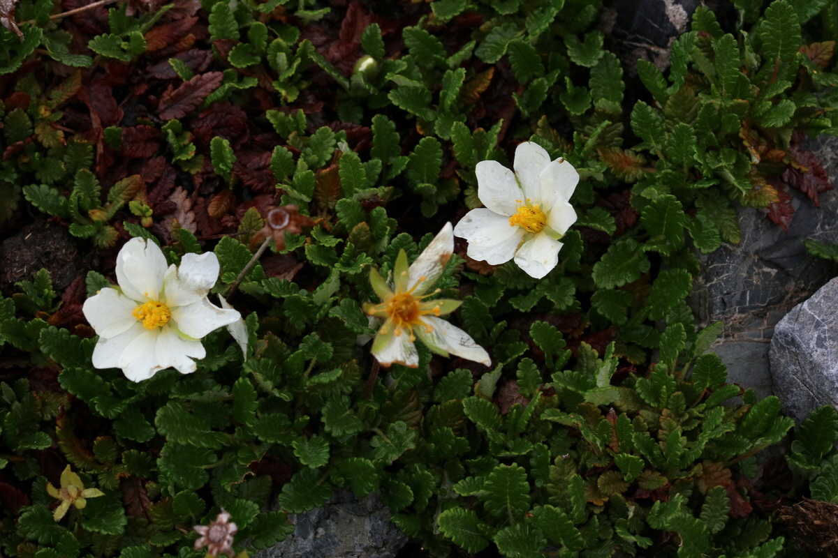 2017_06_27_035528p_Bildgr��e �ndern