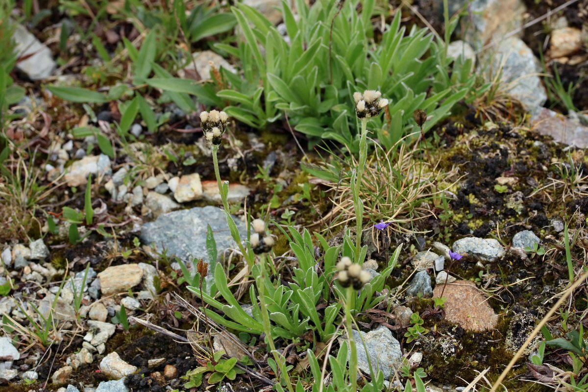 2017_06_27_035535p_Bildgr��e �ndern