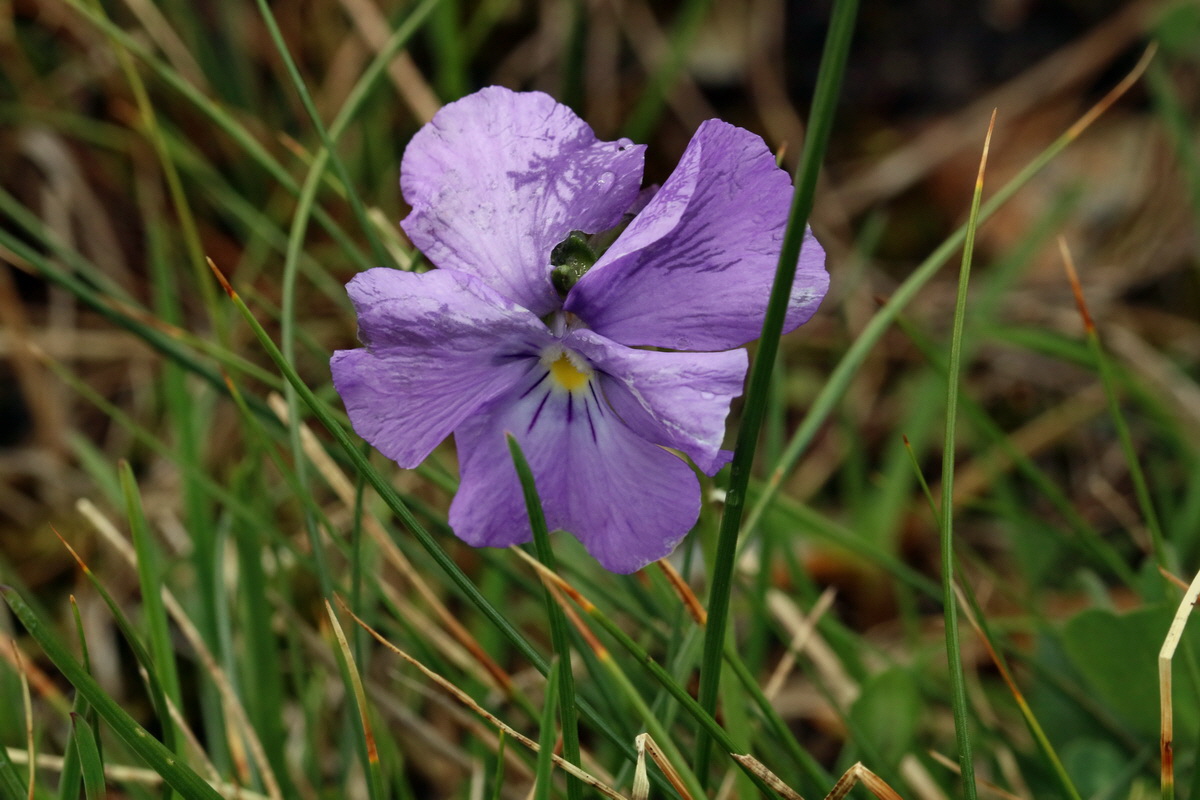 2017_06_27_035537p_Bildgr��e �ndern