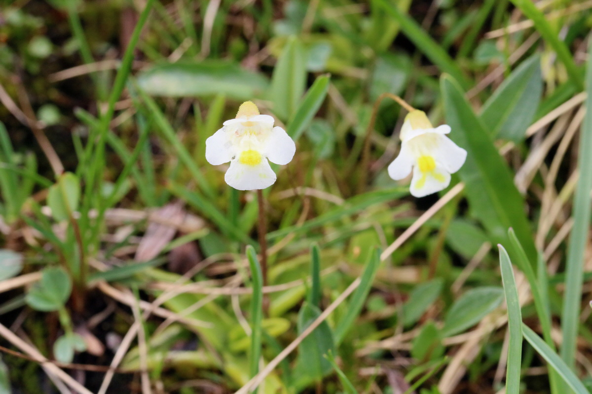 2017_06_27_035544p_Bildgr��e �ndern