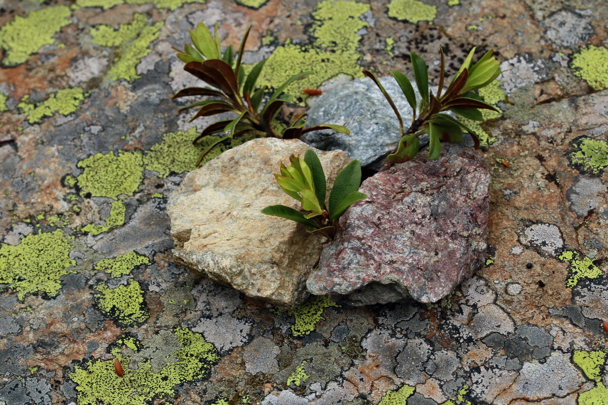 2017_06_27_035548p_Bildgr��e �ndern