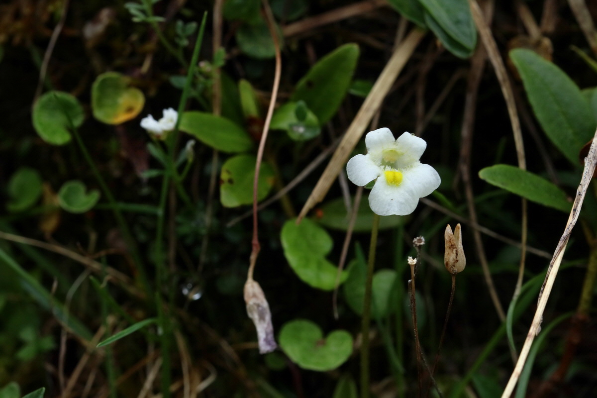 2017_06_27_035560p_Bildgr��e �ndern