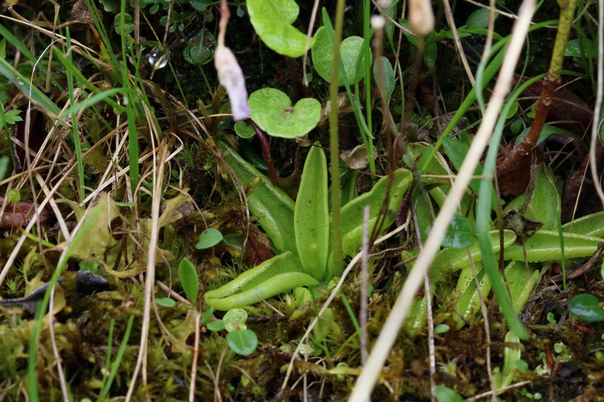 2017_06_27_035562p_Bildgr��e �ndern