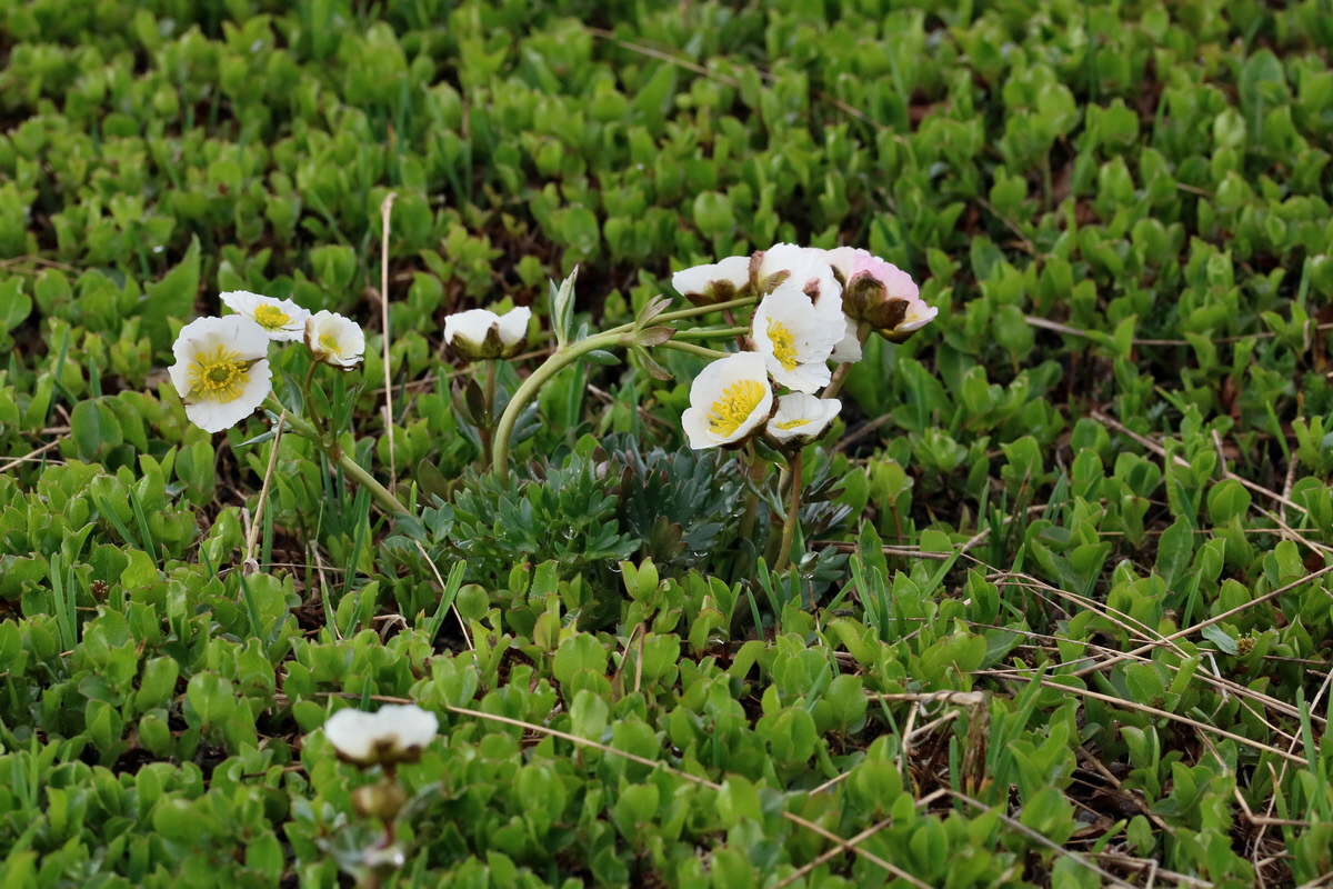 2017_06_27_035573p_Bildgr��e �ndern