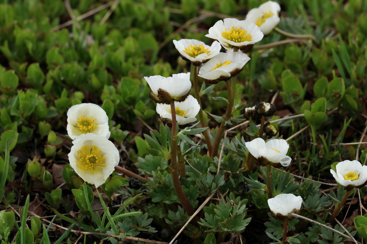 2017_06_27_035575p_Bildgr��e �ndern