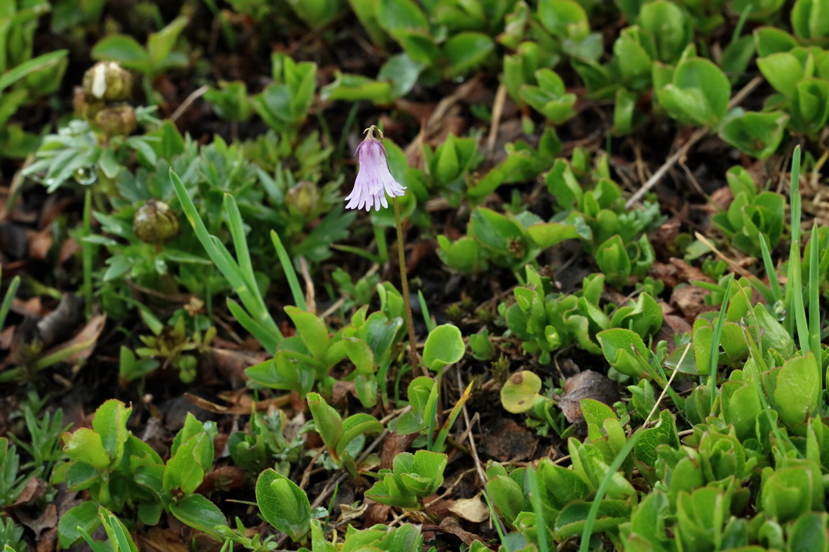 2017_06_27_035577p_Bildgr��e �ndern