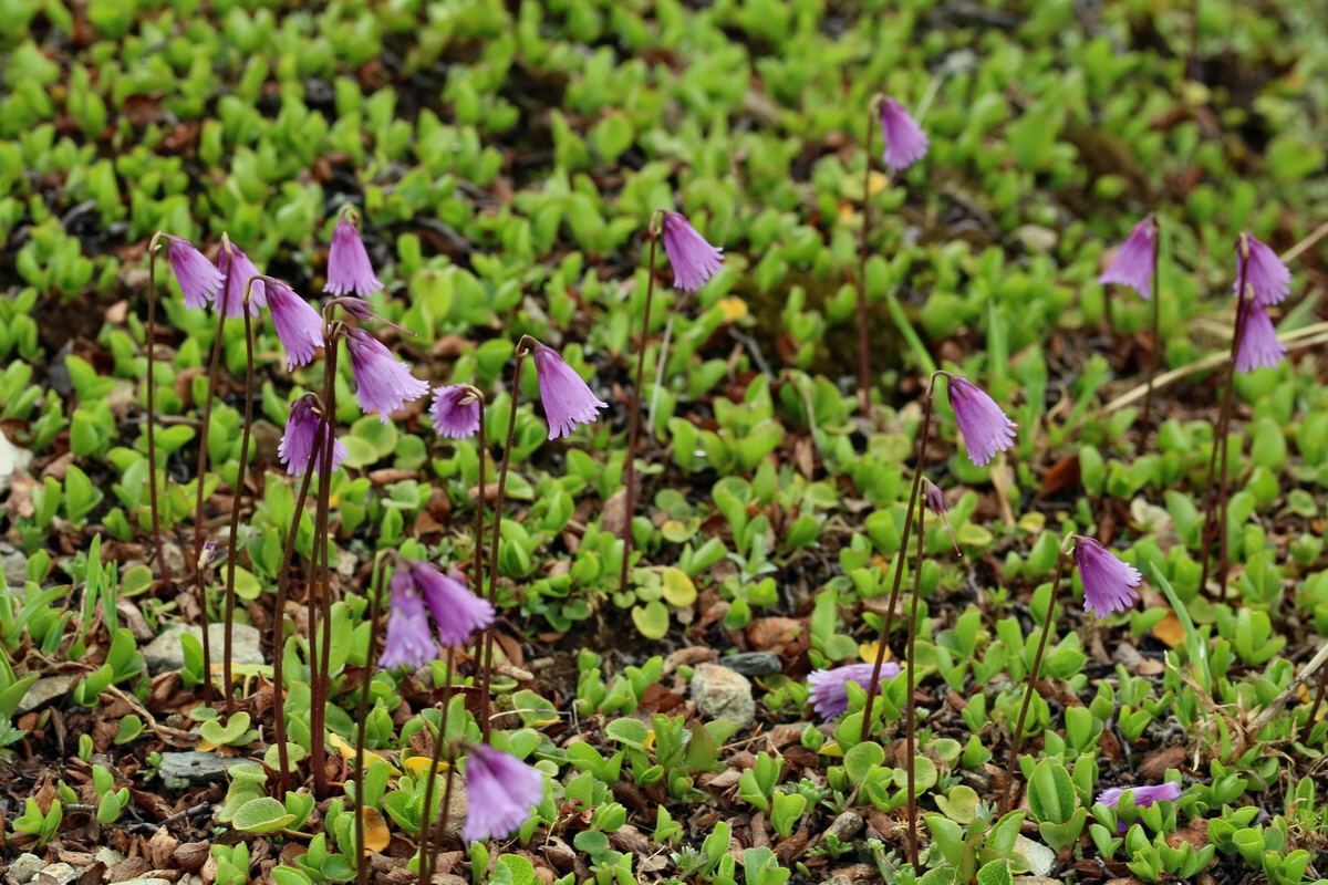 2017_06_27_035580p_Bildgr��e �ndern