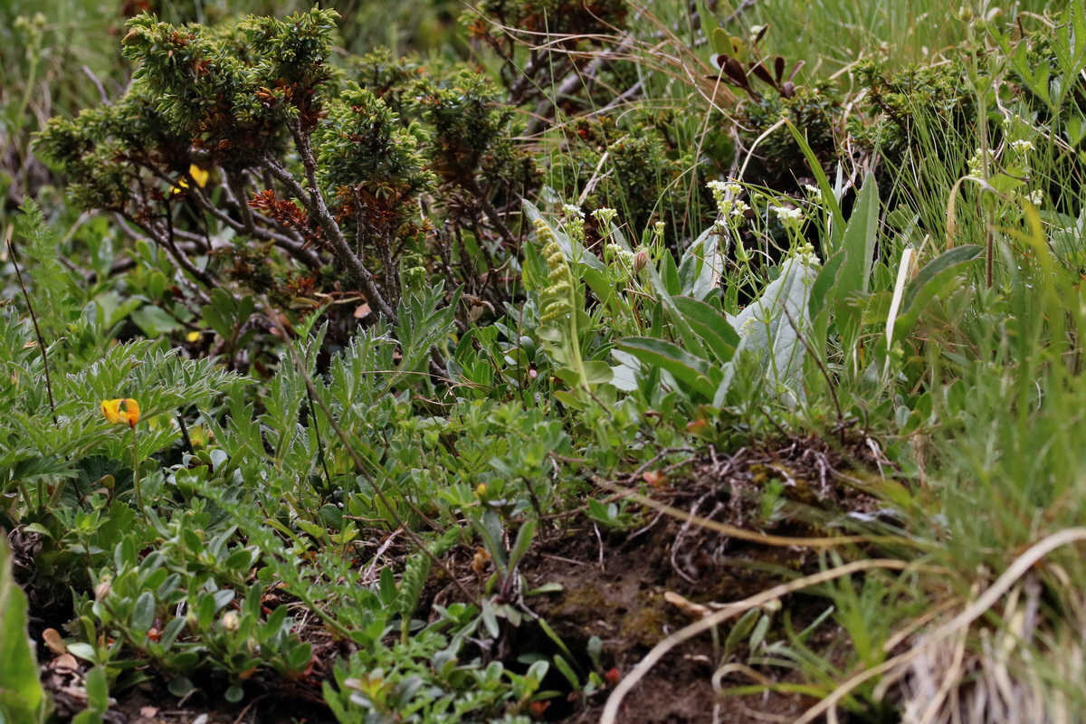 2017_06_27_035611p_Bildgr��e �ndern