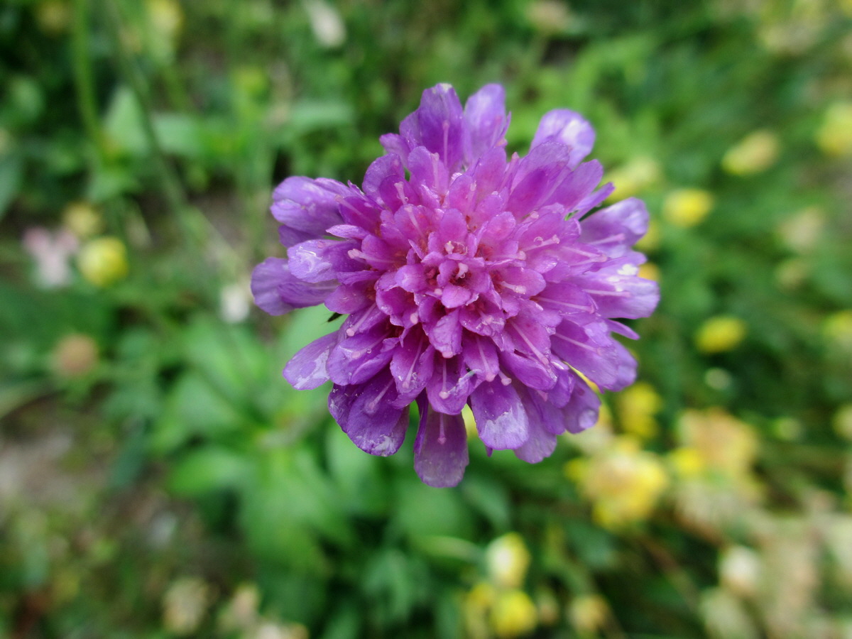 IMG_0061p_Bildgr��e �ndern