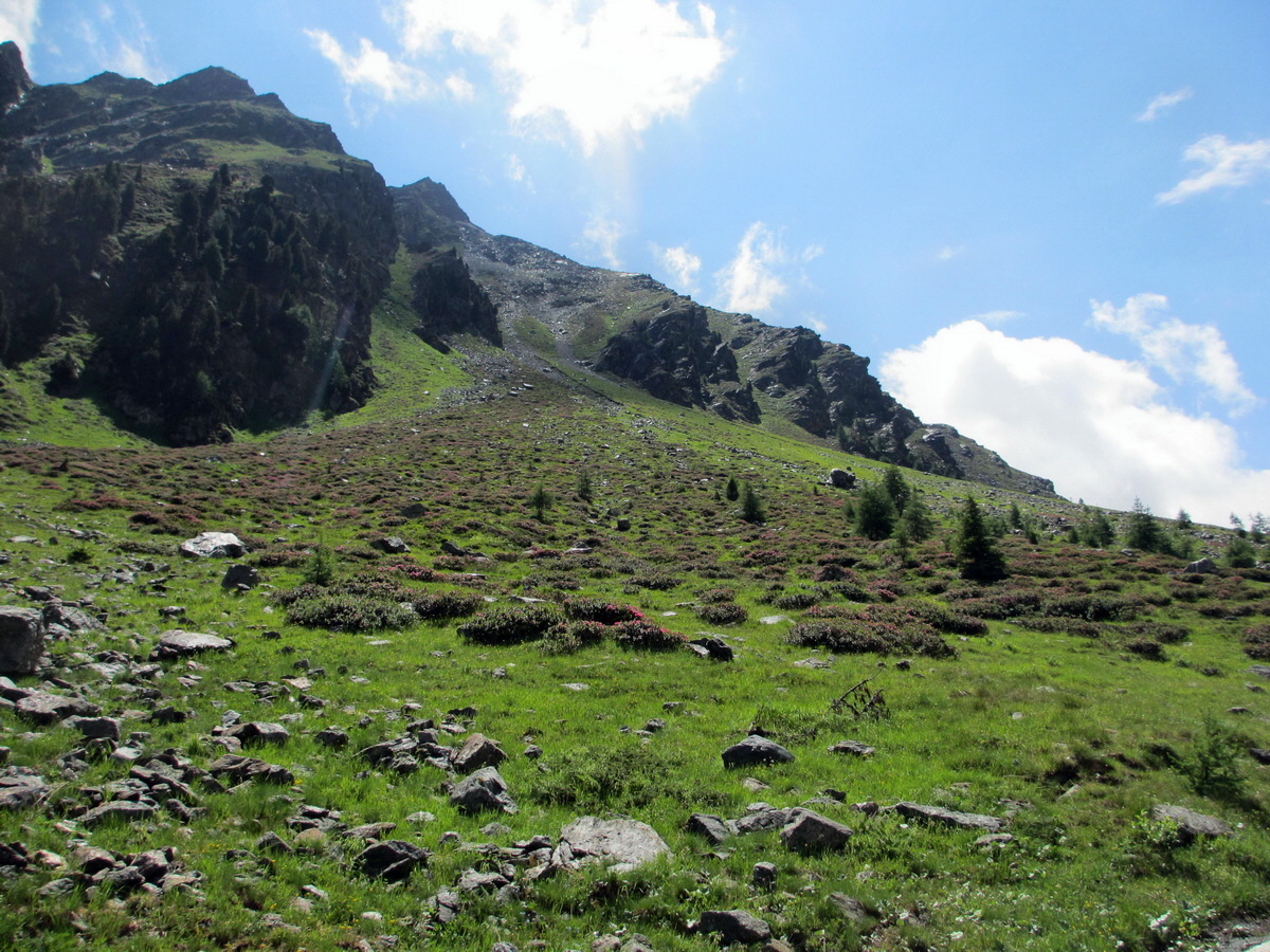 IMG_0067p_Bildgr��e �ndern