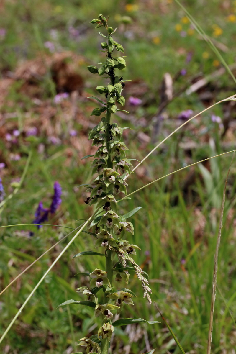 2017_06_28_035697p_Bildgr��e �ndern