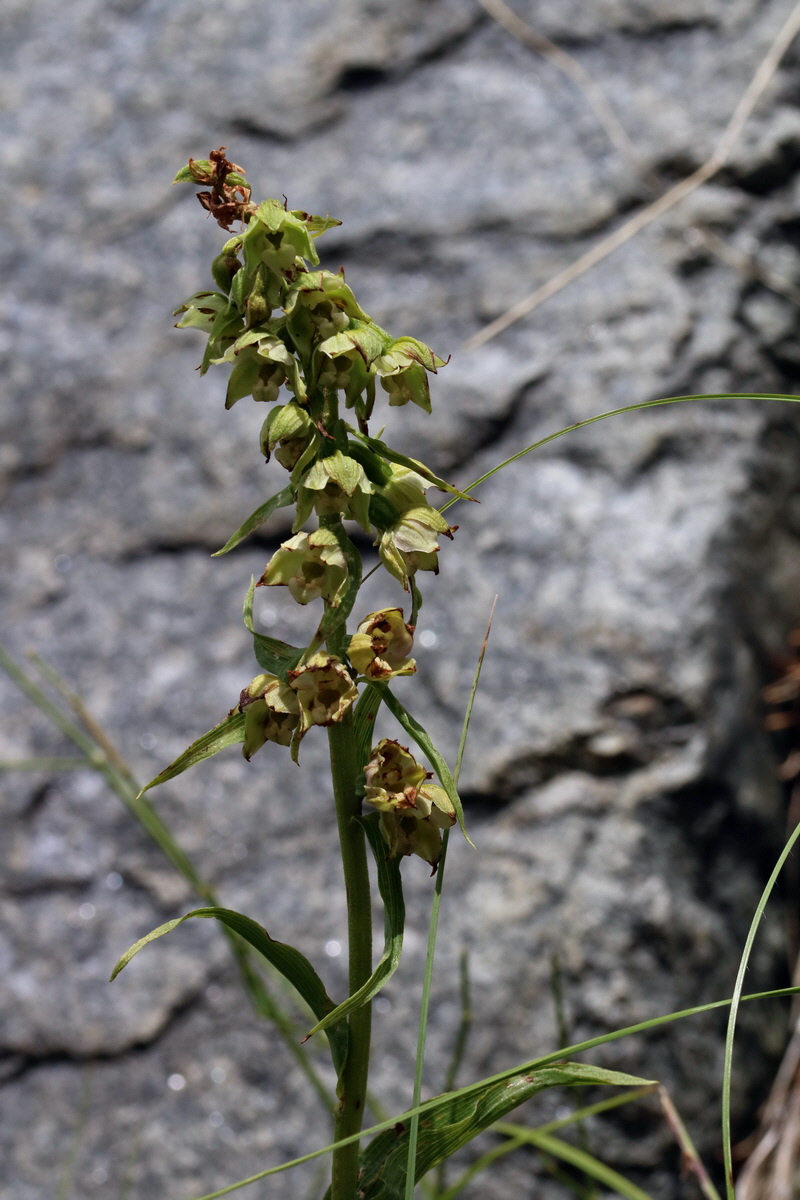 2017_06_28_035698p_Bildgr��e �ndern