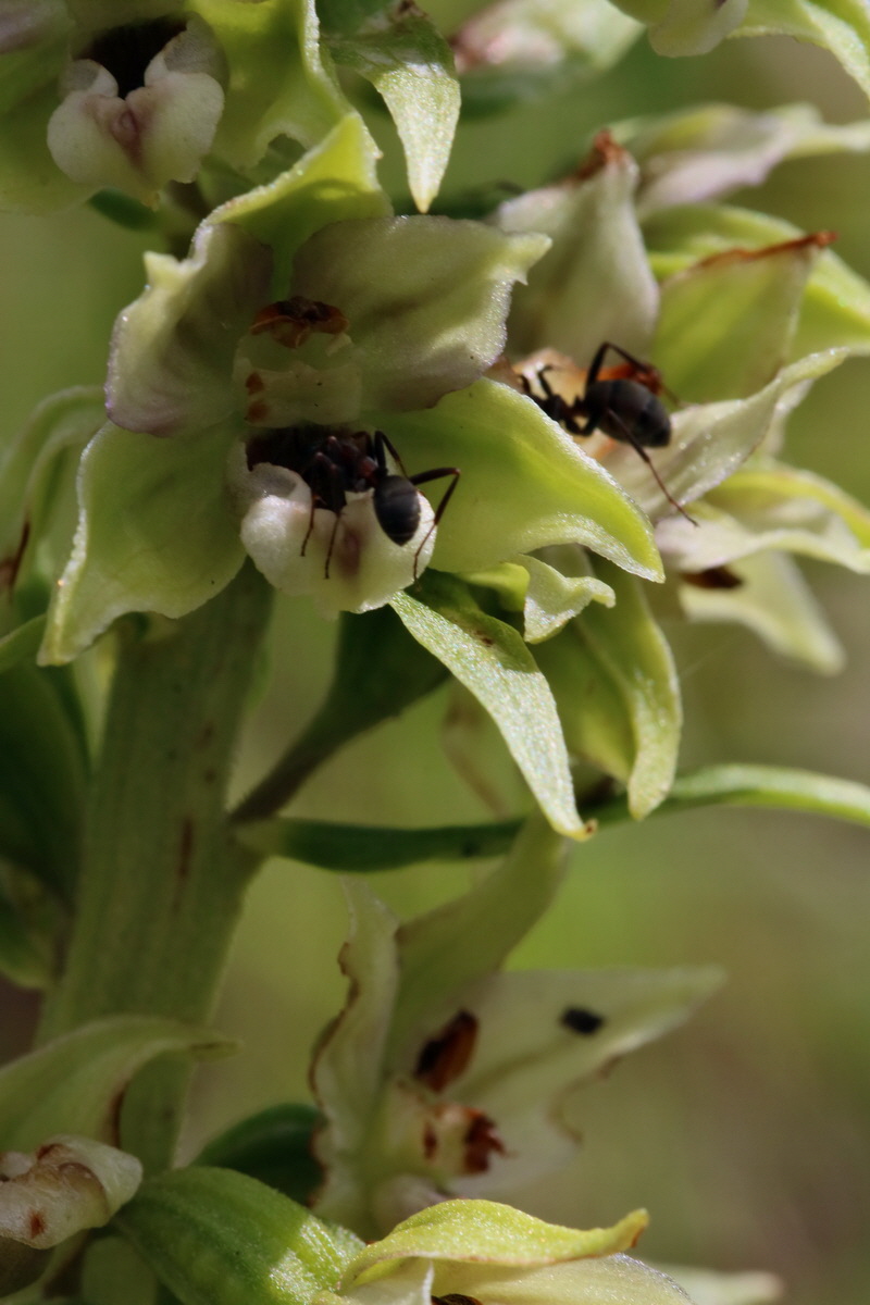 2017_06_28_035712p_Bildgr��e �ndern