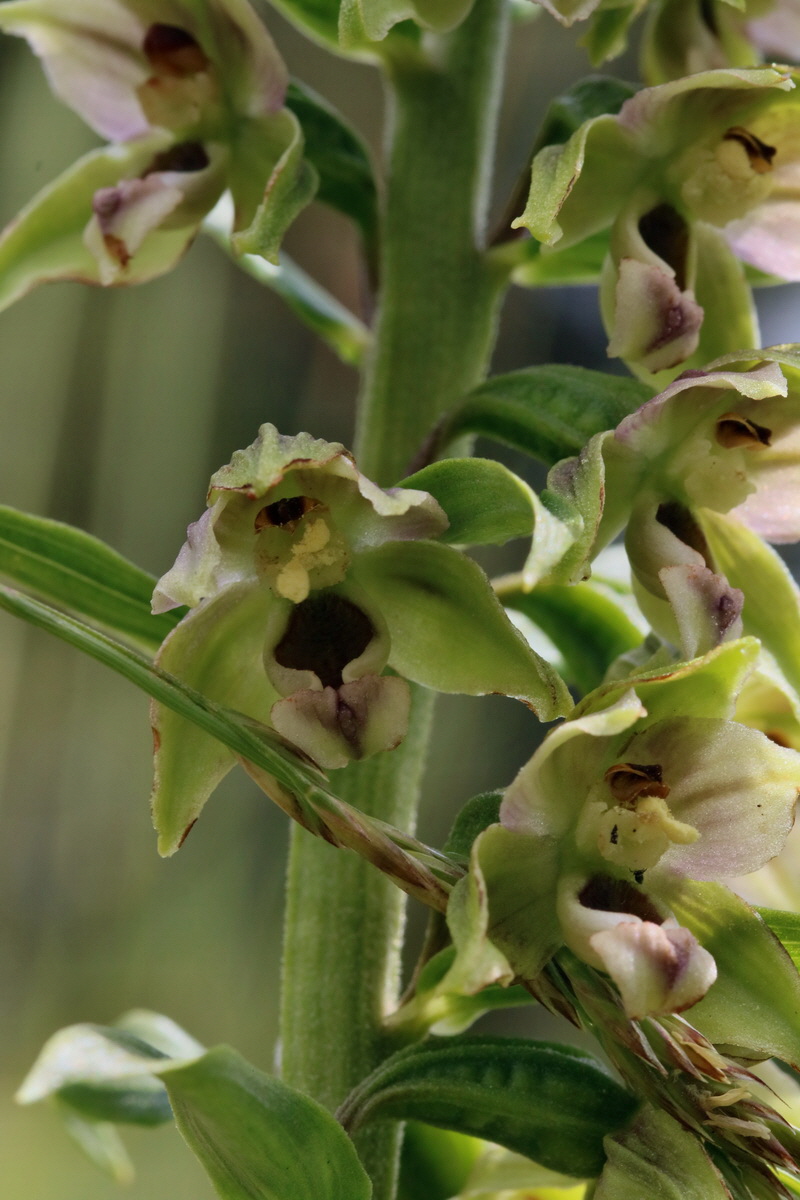 2017_06_28_035722p_Bildgr��e �ndern