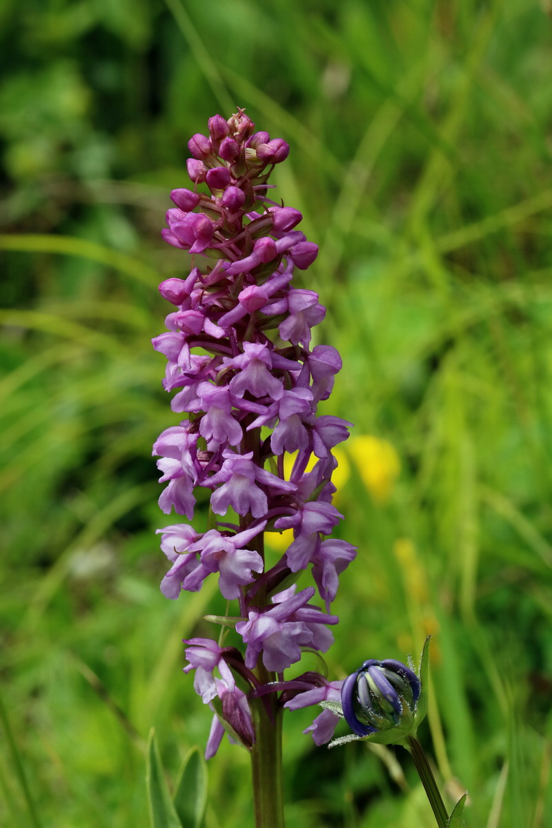 2017_06_28_035744p_Bildgr��e �ndern