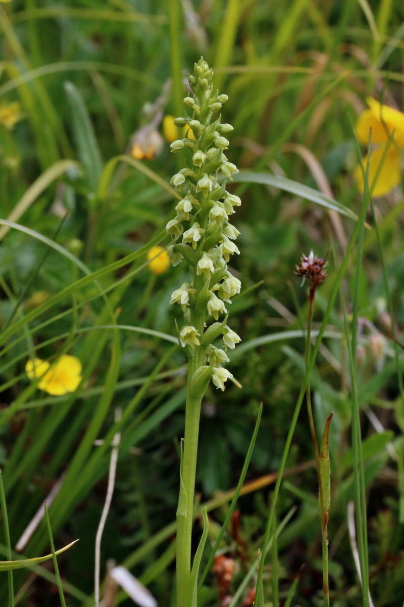 2017_06_28_035749p_Bildgr��e �ndern