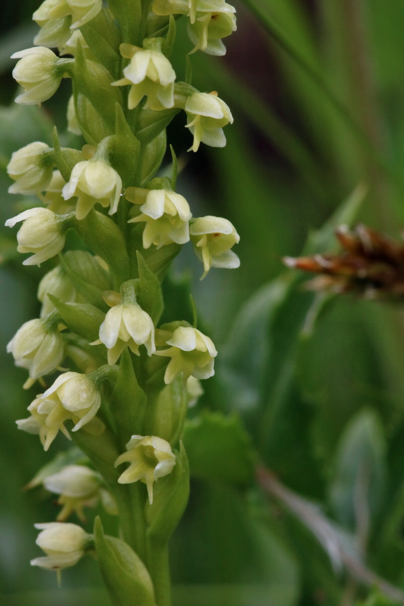 2017_06_28_035770p_Bildgr��e �ndern