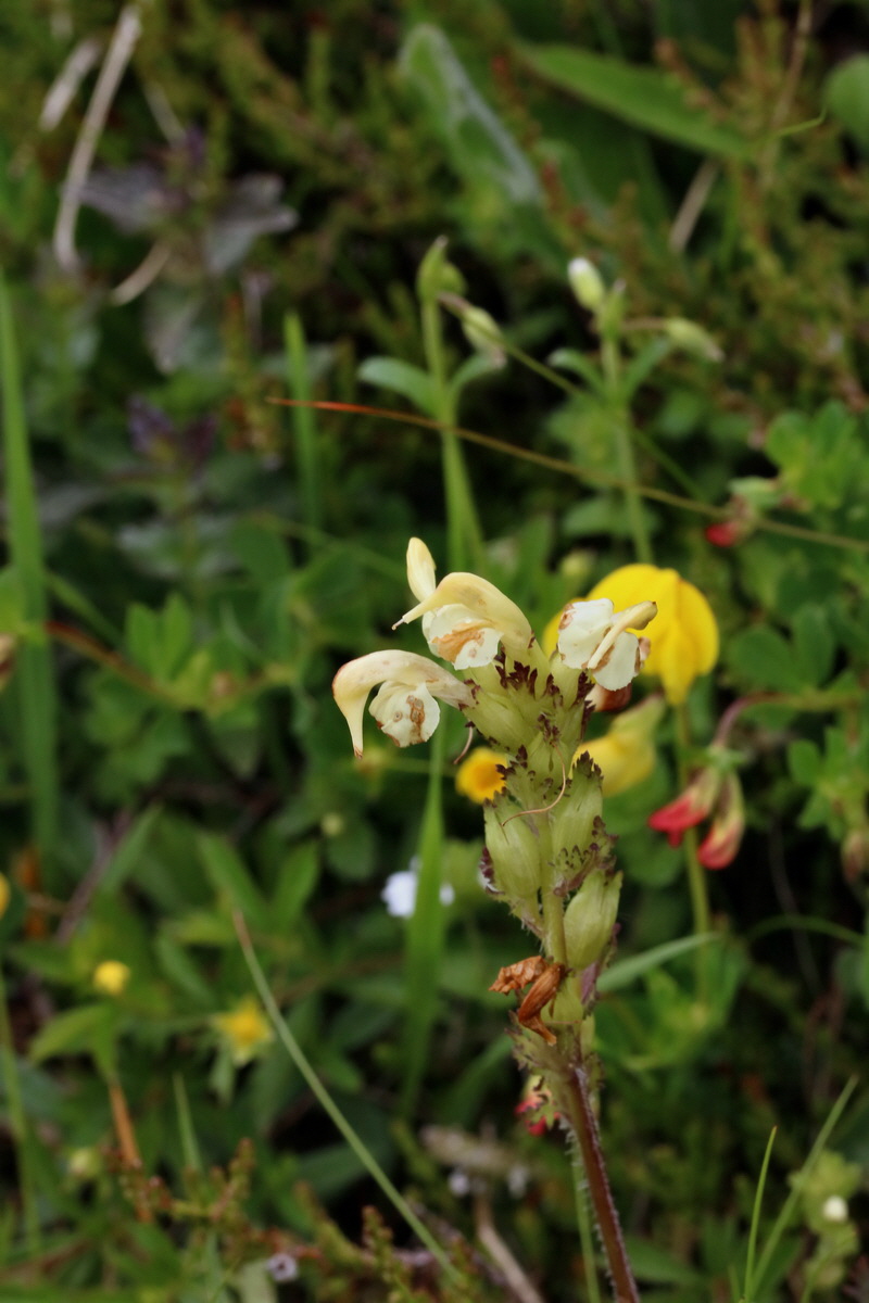 2017_06_28_035820p_Bildgr��e �ndern