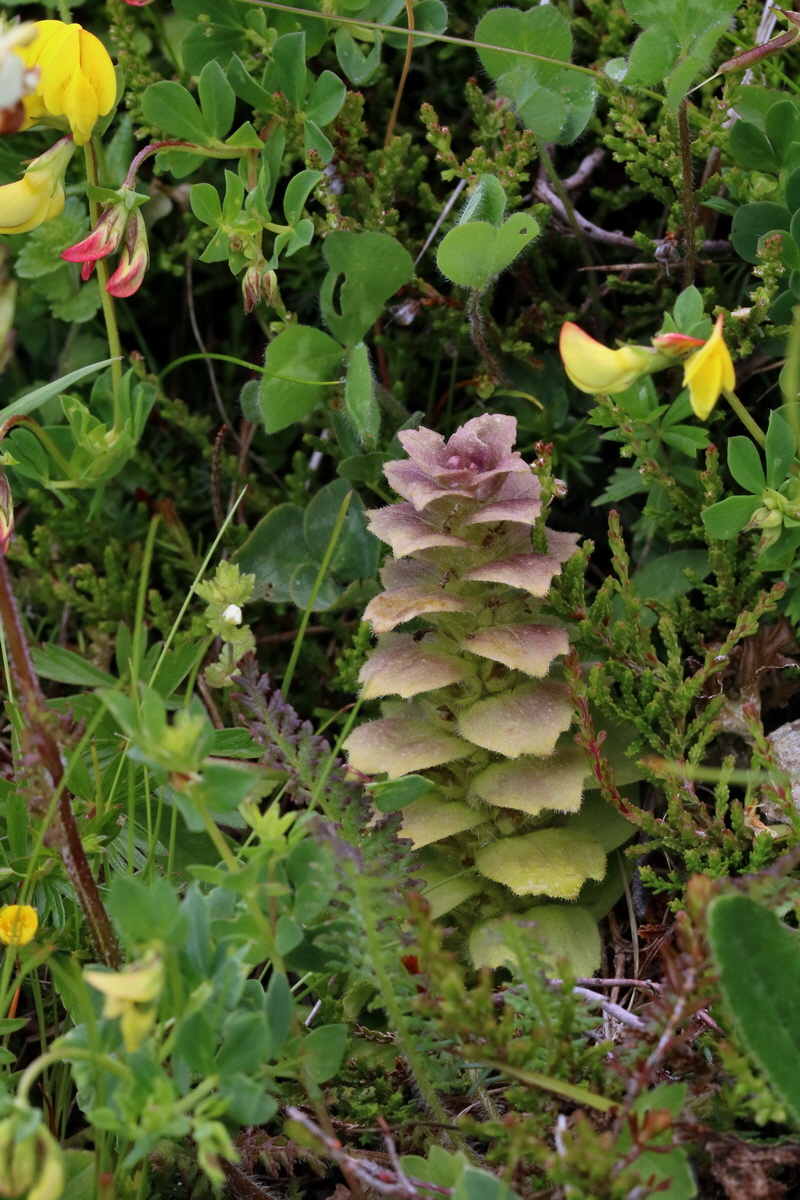 2017_06_28_035823p_Bildgr��e �ndern