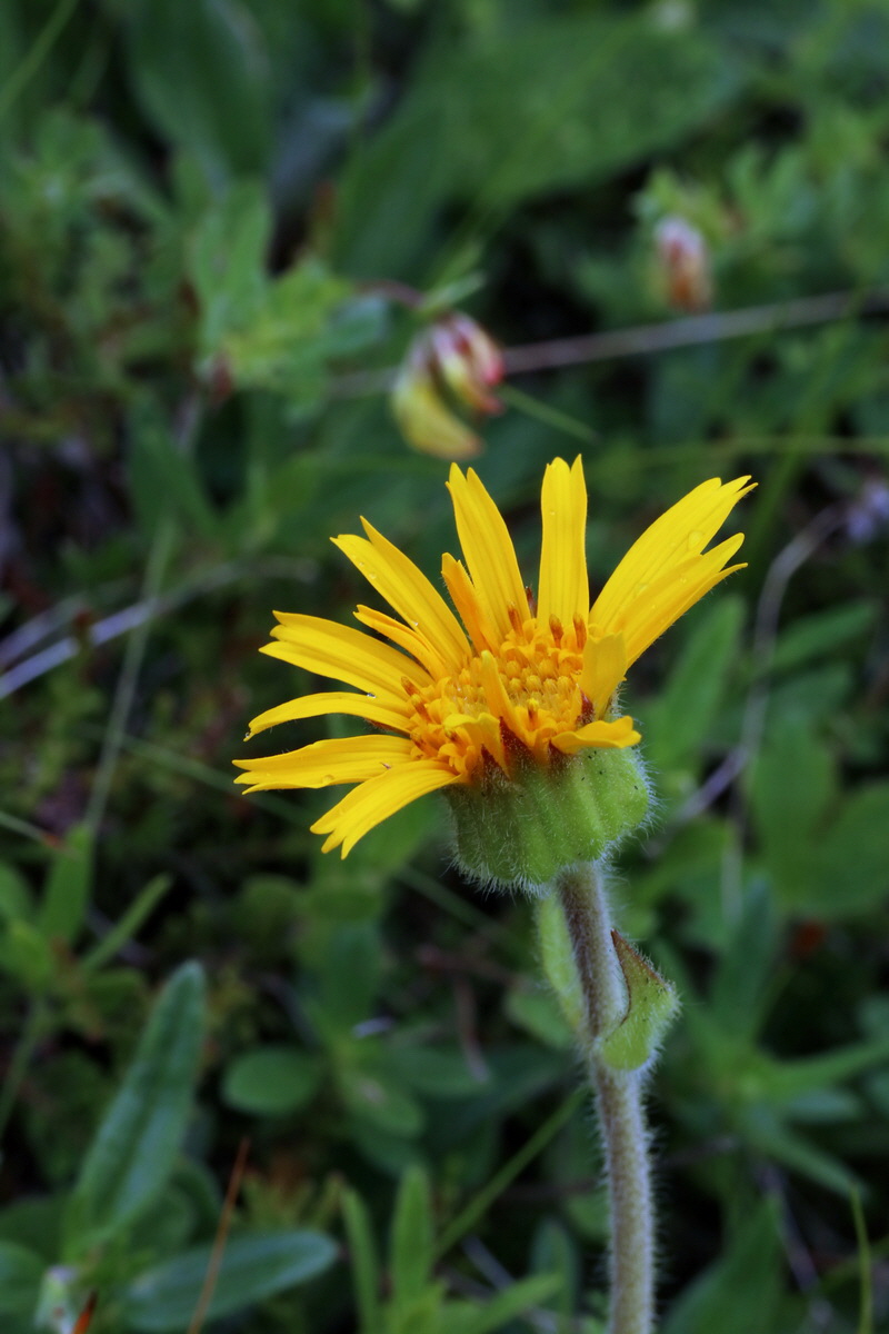 2017_06_28_035824p_Bildgr��e �ndern